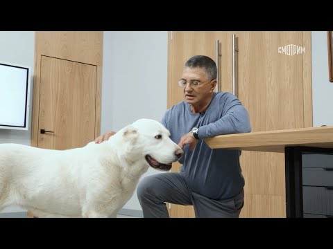 Видео: Доктор Мясников. Эфир от 08.11.2025