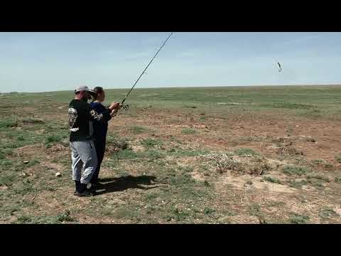 Видео: Куланотпес, открытие летнего сезона 2023