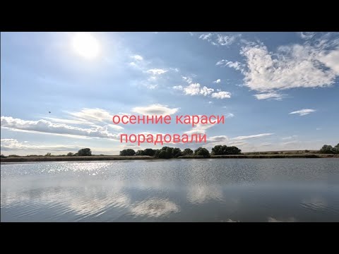 Видео: Оторвались по карасю. Рыбалка рядом с домом.