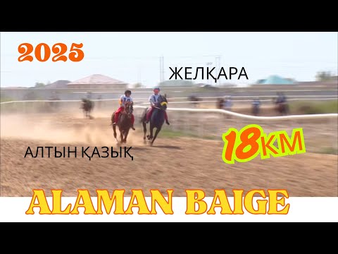 Видео: АЛАМАН БӘЙГЕ|2025|ҚЫЗЫЛОРДА. АЛТЫН ҚАЗЫҚ.КЕРДАУЫЛ.САРБАЗ.ЖЕЛҚАРА