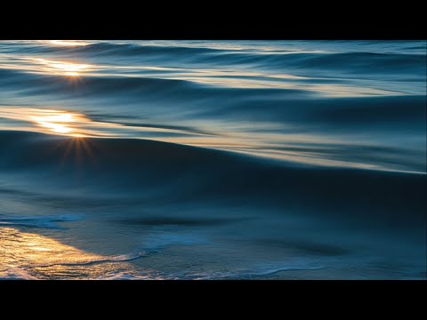 Видео: Звуки Океана для Сна 24/7 🌊 Финский Залив | Шум Волн Без Рекламы | Чёрный Экран
