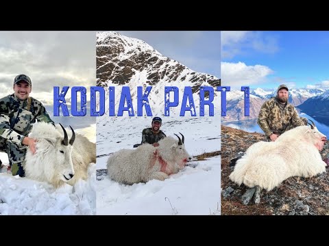 Видео: 3 козы в первый день!!! Охота на горных козлов - Stuck N The Rut 162