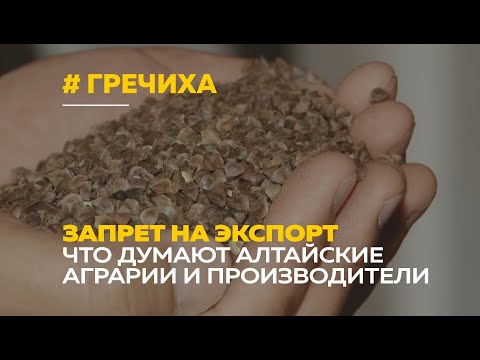 Видео: Гречка под запретом | Реакция алтайский фермеров на запрет на экспорт