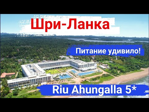 Видео: Шри-Ланка. Отель Riu Ahungalla 5*. Семейный, веселый, активный отель, отличное питание.