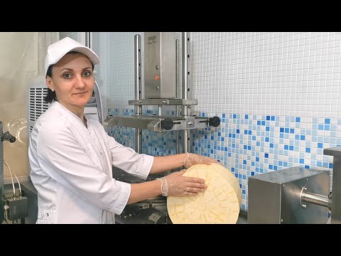 Видео: Чеддер в бандаже / Сыроварня Maggio и Пресс для Сыра Маджио / Оборудование для производства сыров