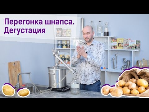 Видео: Шнапс: перегон и дегустация