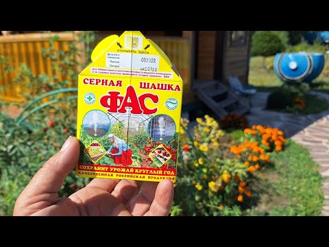 Видео: Как Безопасно и Правильно Прожечь Серную Шашку в Подвале.