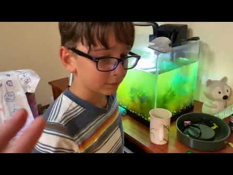 Видео: 5 НОЧЕЙ С ЗАЙЦЕМ