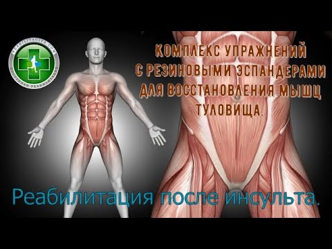 Видео: Восстановление мышц туловища после парализации. Комплекс с резиновыми эспандерами.