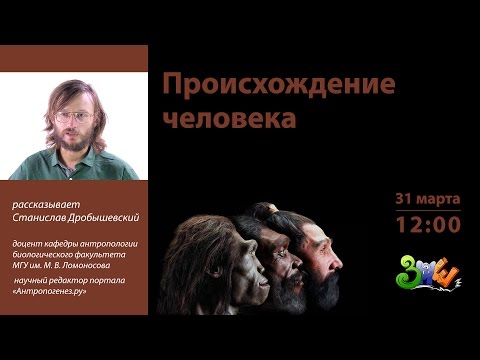 Видео: ЗПШ-2017: Станислав Дробышевский "Происхождение человека"