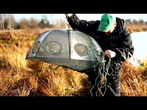 Видео: Оставили Раколовку на два дня  в ноябре. Ловля рыбы на раколовку