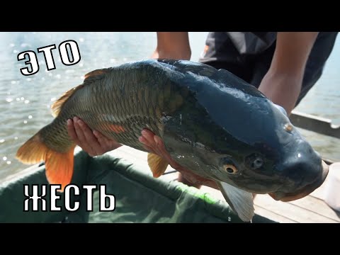 Видео: НАШУМЕВШЕЕ ОЗЕРО / ПРИЕХАЛ НА КАРПИЧ.. ЭТО ЖЕСТЬ !