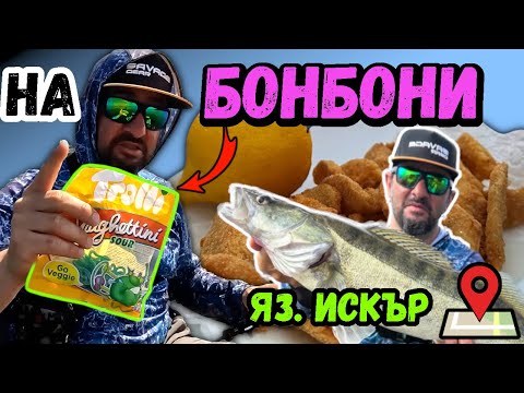 Видео: ПАНИРАНИ КОРЕМЧЕТА от КОСТУР/Catch&Cook/! ЖЕЛИРАНИ БОНБОНИ за СТРЪВ! Бели риби на  яз. Искър