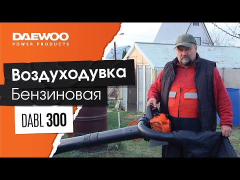 Видео: Мощность и автономность — Воздуходувка-пылесос DAEWOO DABL 300