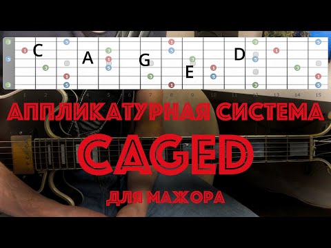 Видео: Система CAGED для мажора