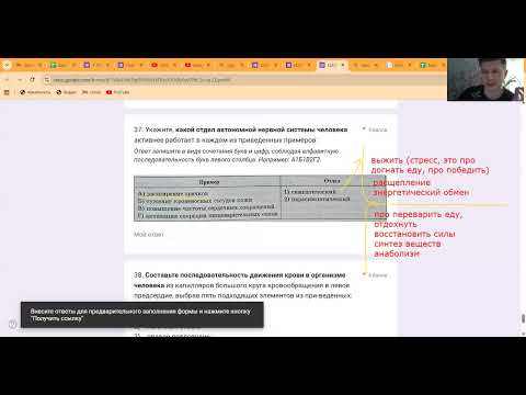Видео: ЦТ 2025г. Вопросы по вегетативной НС и кругам кровообращения. Тоже этого не будет. Не смотри.