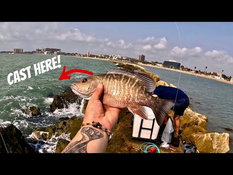 Видео: Ловля мангрового люциана с городского причала!