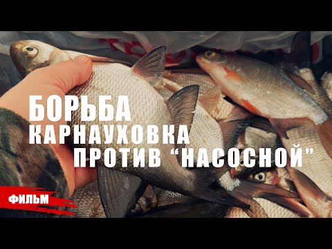 Видео: БОРЬБА КАРНАУХОВКА ПРОТИВ "НАСОСНОЙ" // ДВА ДНЯ НА РЫБАЛКЕ.