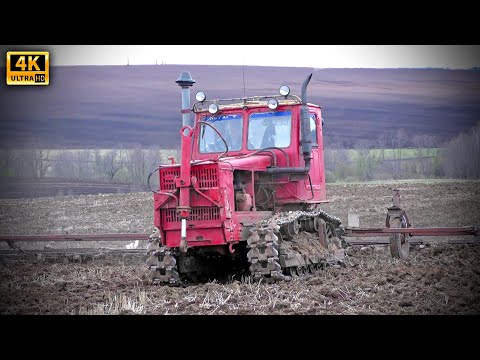 Видео: Гусеничный трактор Т-4А Алтай и тракторист, работающий на нем с 1981 года - закрытие влаги 2020