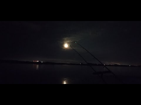 Видео: С ночевкой на леща. Рыбалка на фидер. Самарка южный мост.