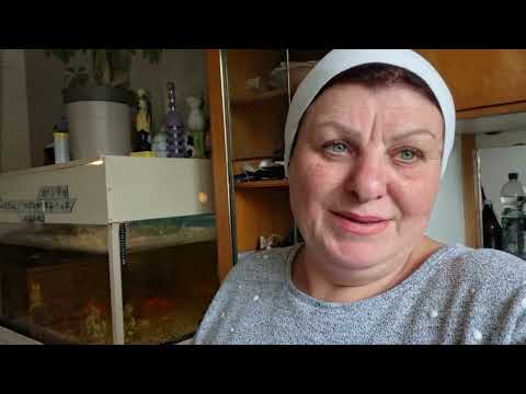 Видео: Наш завтрак.  И снова на хозяйстве. 