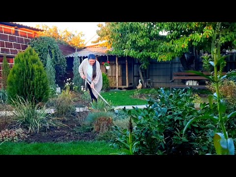 Видео: АРОМАТ ВИПІЧКИ В ЗАТИШНОМУ БУДИНКУ. МІЙ САД ДАЄ МЕНІ СИЛУ ЗА ТЕ ЩО Я ЙОГО ДОГЛЯДАЮ. 