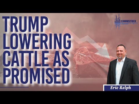 Видео: Трамп сокращает поголовье скота, как и обещал Эрику Релфу