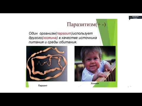 Видео: Биология - 9 класс - Закономерности биогеоценоза сукцессия, агроценоз