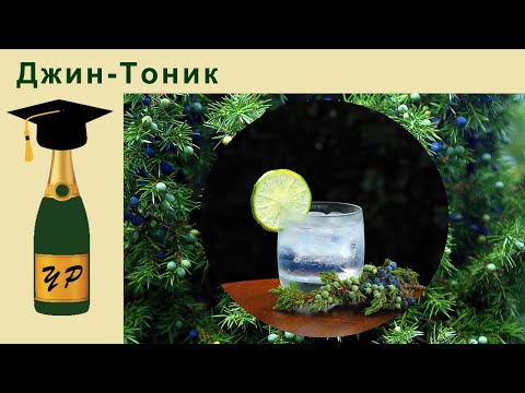 Видео: Джин-тоник