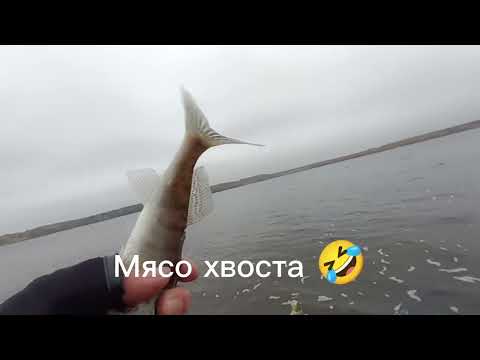 Видео: Волга | г. Наволоки | Рыбалка на спиннинг с берега | Дамба | 