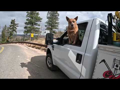 Видео: Тест на буксировку тяжелого прицепа Ford V10 (22 400 фунтов)