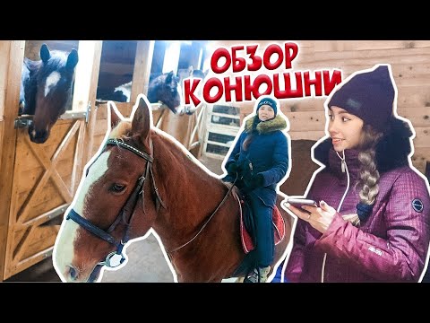 Видео: ОБЗОР КОНЮШНИ / Как стать коневладельцем?