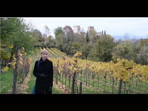 Видео: Настоящая история Ромео и Джульетты: замки Ромео и Джульетты в Италии