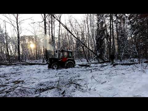 Видео: Т-25 на заготовке дров