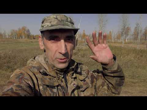 Видео: Еду в лес на электротяге