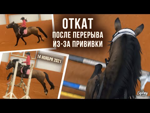 Видео: ПОЧТИ УПАЛА? | 14 ноября 2021 | GoPro