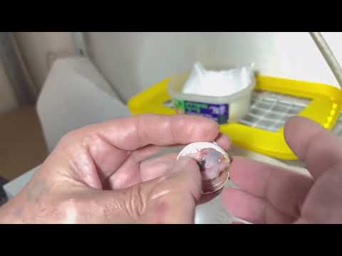 Видео: Птенцы и помощь вылуплению