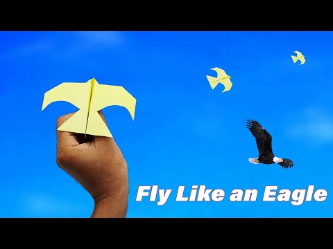 Видео: Как сделать бумажный самолётик в виде орла — New Paper Bird Airplane