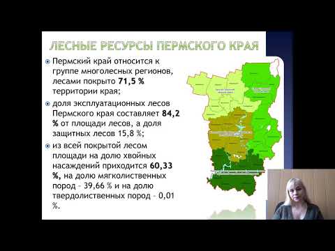 Видео: Лекция 19. Лесное право как подотрасль ЭП_2021