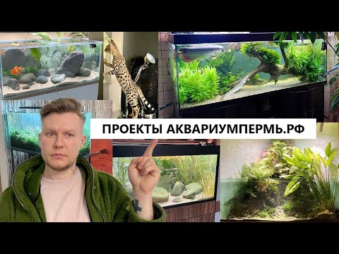 Видео: Работа по улучшению клиентских аквариумов АКВАРИУМПЕРМЬ.РФ - меняем светильники, подсаживаем рыбу.