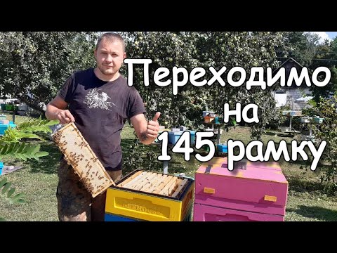 Видео: 230+145/Оцінка тесту утримання бджіл на рутівському корпусі з магазинами