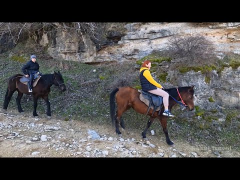 Видео: Поселок Тарки. История про 40 девушек. #Тарки #Махачкала #Кумыки