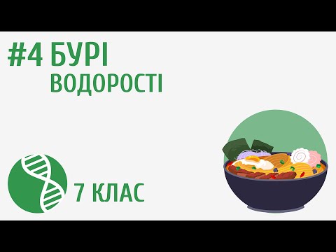 Видео: Бурі водорості #4