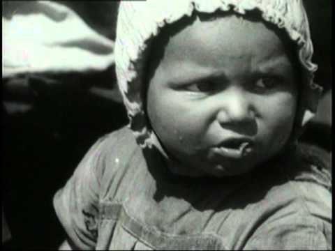 Видео: Лебяжий остров (2012) фильм