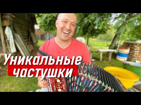 Видео: ТАК УЖЕ НЕ ПОЮТ 💯  Знаменитый наигрыш и частушки Михаила Вилисова «Улошная» / гармонист Иван Разумов