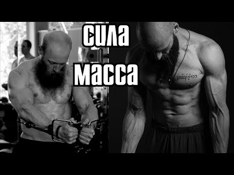 Видео: Растет сила, не растут мышцы. Почему?