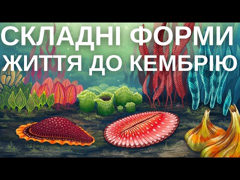 Видео: ЗАГАДКОВІ ІСТОТИ ЕДІАКАРСЬКОГО ПЕРІОДУ - НЕ ПРОВАЛЕНИЙ ЕВОЛЮЦіЙНИЙ ЕКСПЕРИМЕНТ