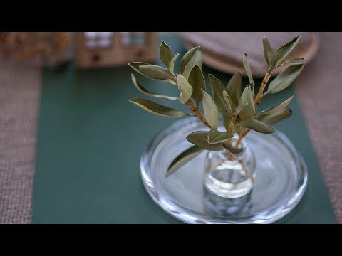 Видео: Веточки с листиками из фоамирана