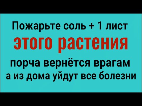 Видео: Пожарьте соль и 1 лист этого растения - порча вернётся врагам, а из дома уйдут болезни