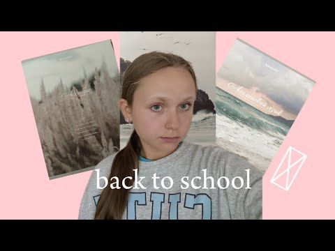 Видео: BACK TO SCHOOL! с Wildberries//рюкзак, тетради, дневник